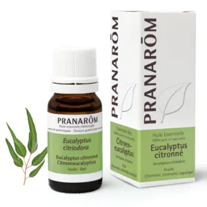 Pranarom Huile Eucalyptus Citronné