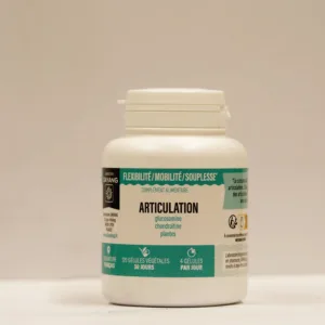 Dayang Articulation Gelules Bt120