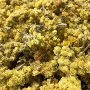 Immortelle Fleur
