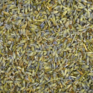 Lavande Officinnale Fleur