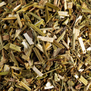 Melilot Jaune Plante