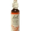 FLEURS BACH CHERRY P FL20ML