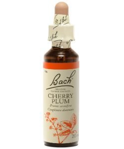 FLEURS BACH CHERRY P FL20ML