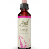 FLEURS BACH LARCH FL20ML