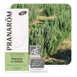 _romarin_a_cineole_rosm_off