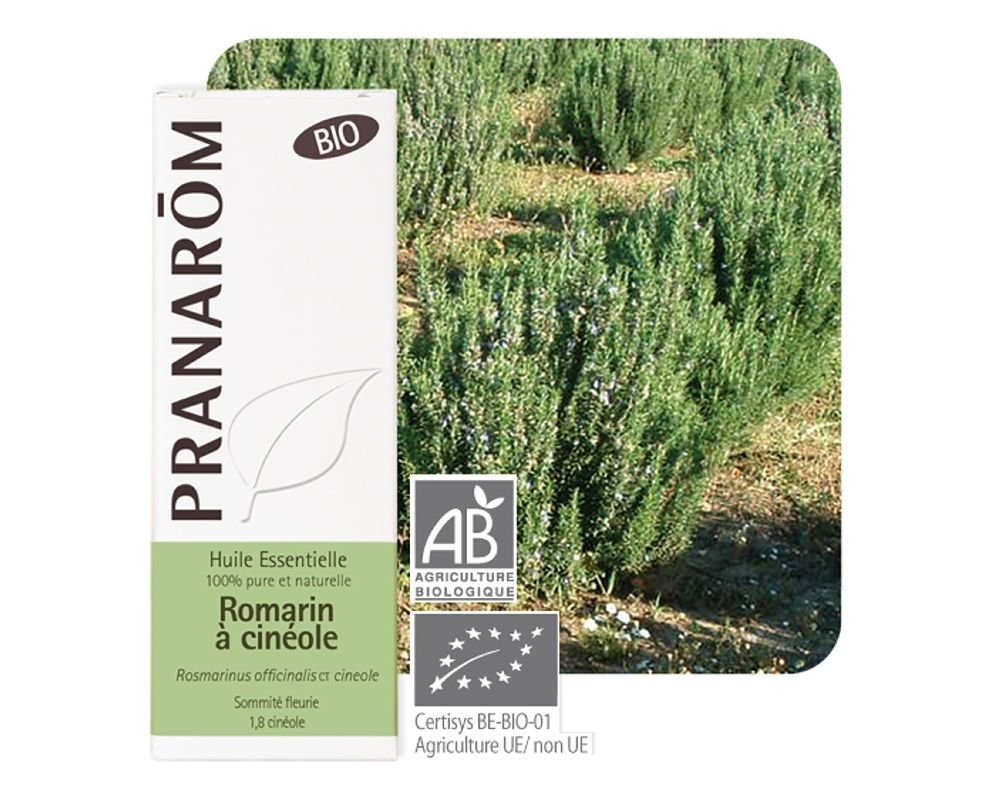 _romarin_a_cineole_rosm_off