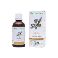 Herbiolys Gattilier Bio 50ml