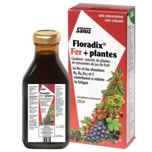 Salus Floradix Flor Bout 250ml