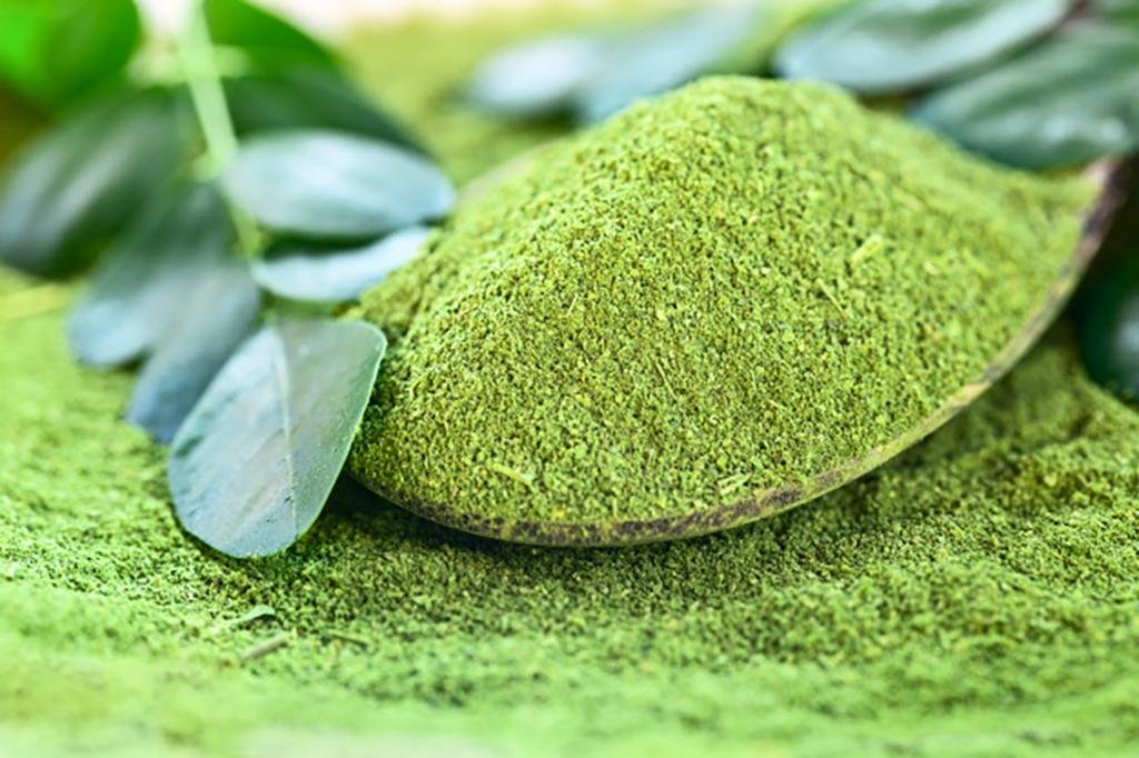 poudre-de-moringa
